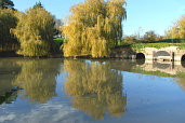 Westover House Pond, Calbourne Isle of Wight - Pictures courtesy of Wightphotobreaks.co.uk
