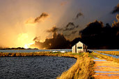 Sunset and Shed, Newtown, Isle of Wight - Pictures courtesy of Wightphotobreaks.co.uk